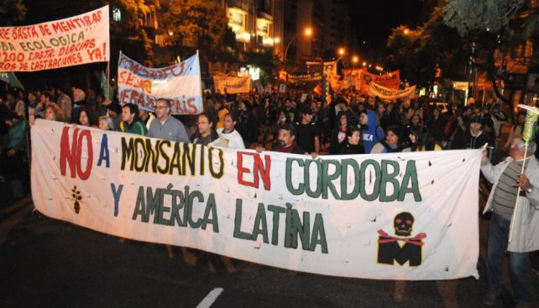 La Secretaría de Ambiente de Córdoba rechazó el estudio de impacto ambiental presentado por la empresa Monsanto 