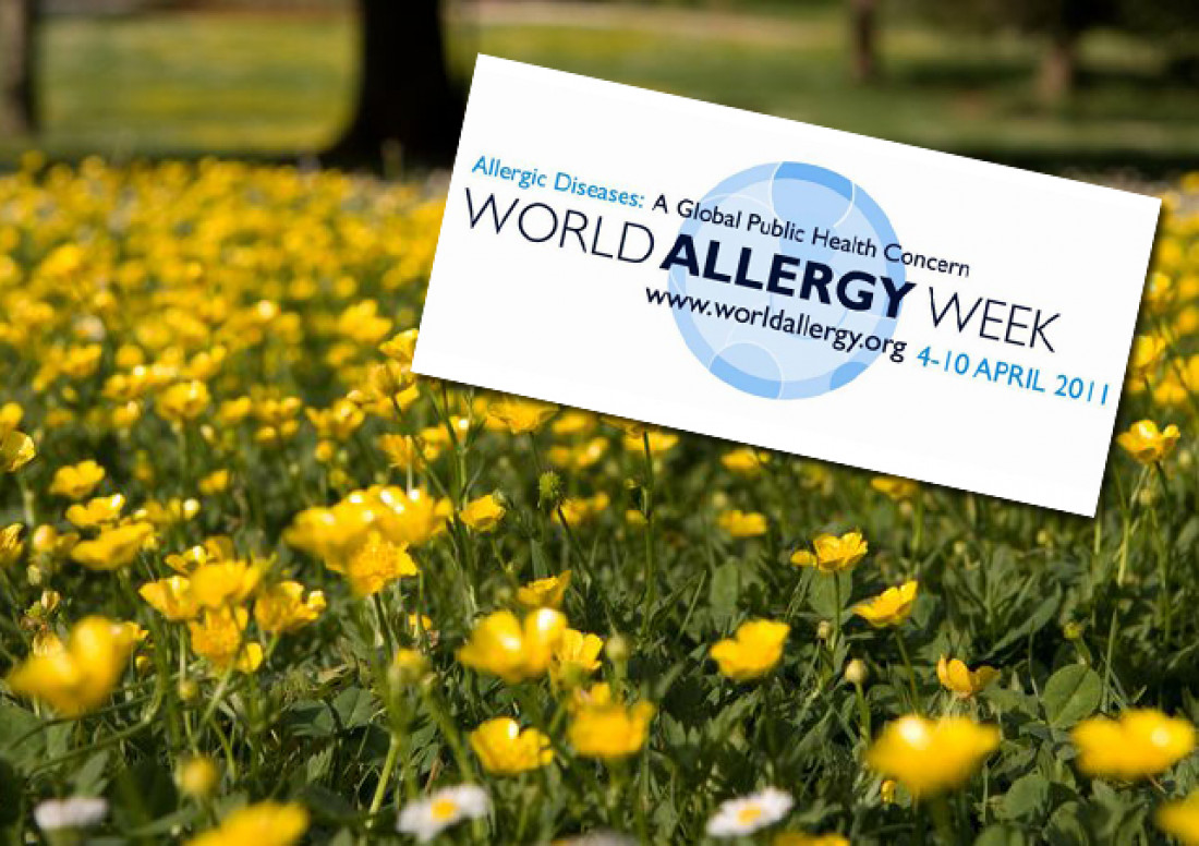 La semana mundial de la alergia