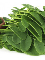 Los beneficios de la moringa, la aliada de los veganos