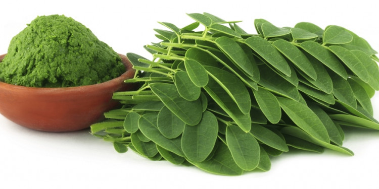 Los beneficios de la moringa, la aliada de los veganos