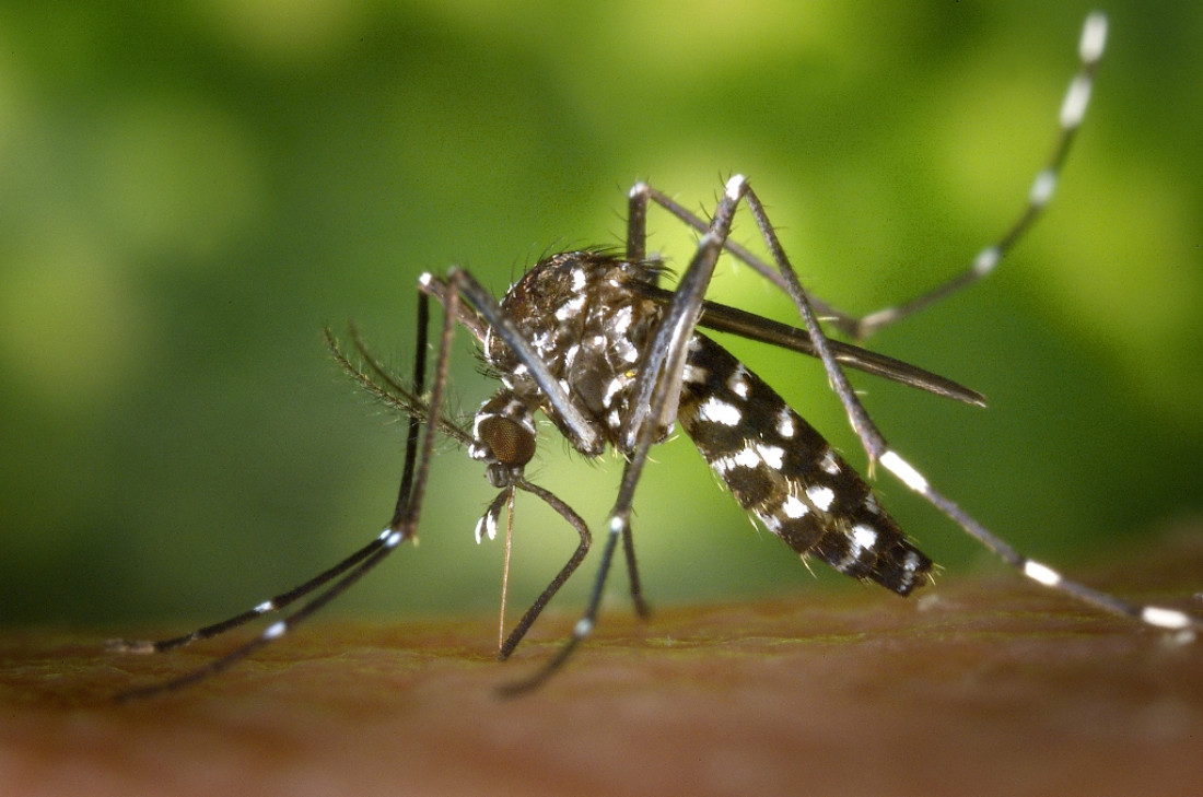 A las bacterias y a los virus les sienta bien el cambio climático