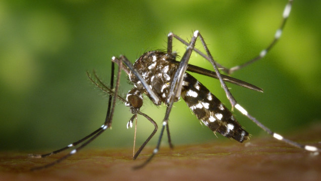 imagen A las bacterias y a los virus les sienta bien el cambio climático