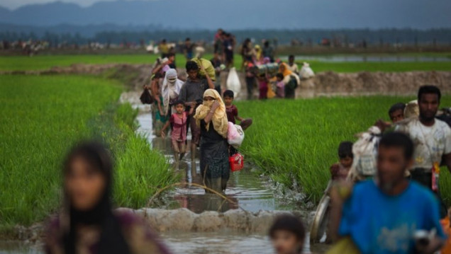 imagen Médicos Sin Fronteras pide que dejen entrar ayuda humanitaria en Rajine