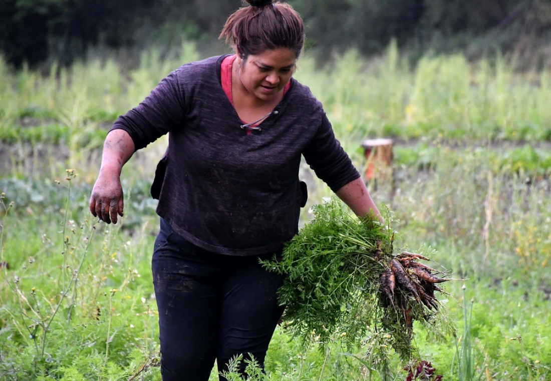 La brecha de género se intensifica en el mundo rural entre varones, mujeres y LGBTIQ+