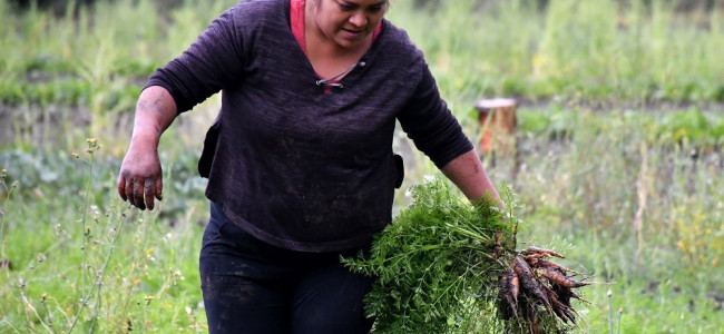 La brecha de género se intensifica en el mundo rural entre varones, mujeres y LGBTIQ+