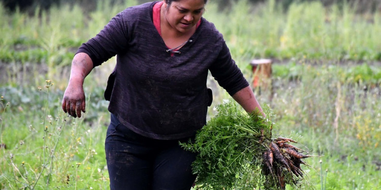 La brecha de género se intensifica en el mundo rural entre varones, mujeres y LGBTIQ+