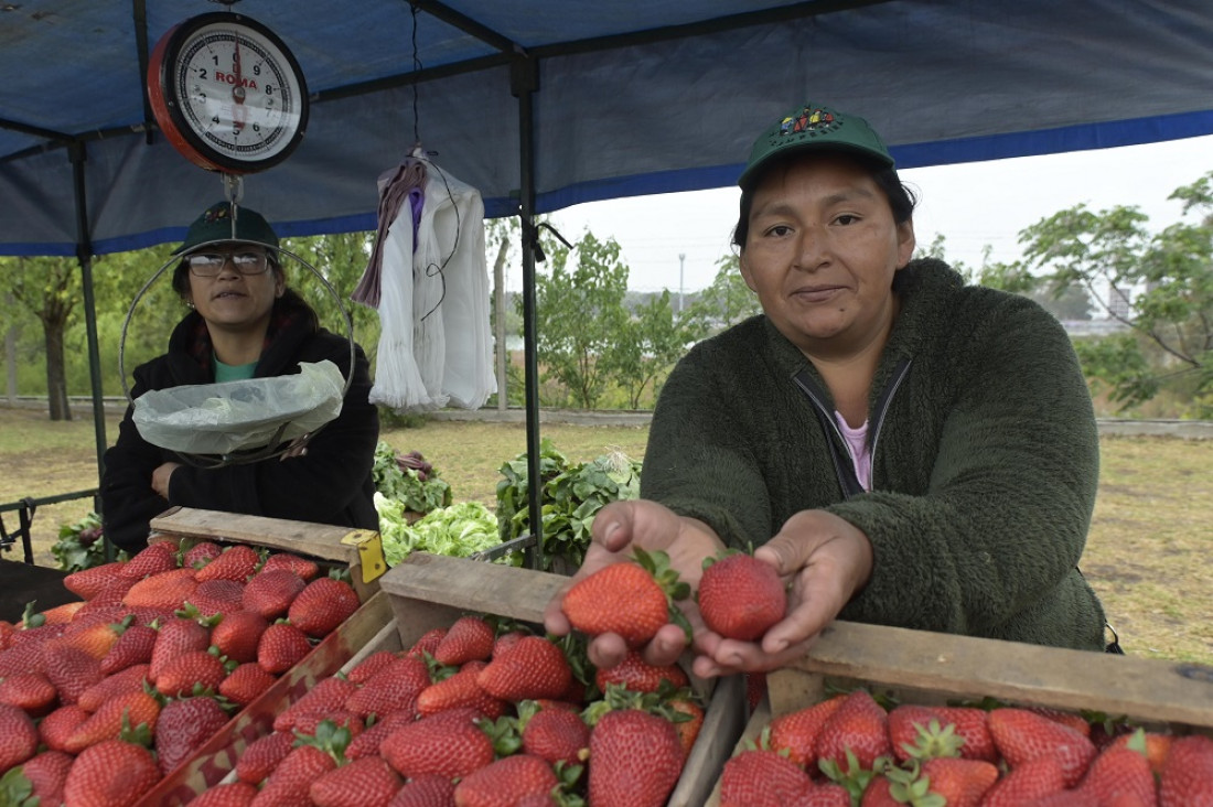 Mujeres rurales pidieron acceso a la tierra y ser reconocidas como productoras