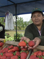 Mujeres rurales pidieron acceso a la tierra y ser reconocidas como productoras