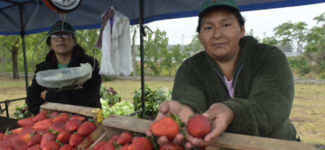 Mujeres rurales pidieron acceso a la tierra y ser reconocidas como productoras