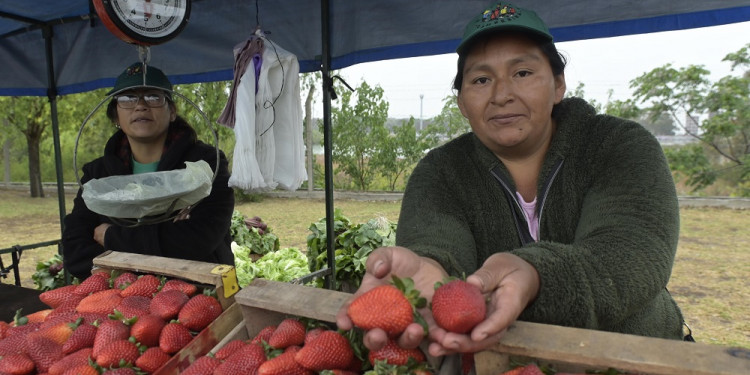 Mujeres rurales pidieron acceso a la tierra y ser reconocidas como productoras