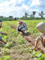 Acciones que favorezcan la vida de las Mujeres Rurales 