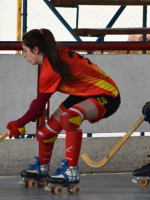 La Liga Nacional de Hockey sobre patines comenzará el 1ero de julio