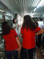 Día Internacional de los Museos