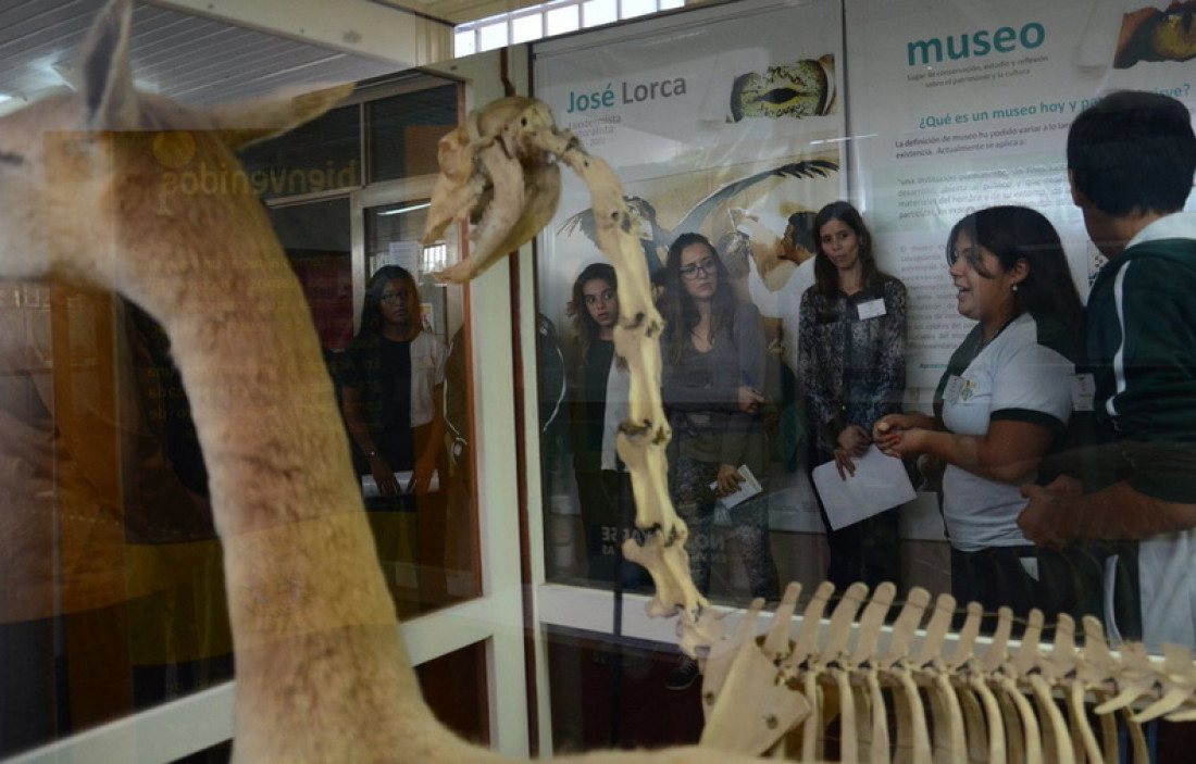 Semana de los museos: talleres de ciencia y visitas guiadas