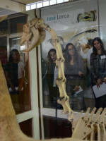 Semana de los museos: talleres de ciencia y visitas guiadas