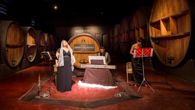 imagen Abren la convocatoria para participar de Música Clásica por los Caminos del Vino