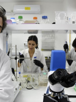 Nanociencias: una revolución en miniatura que "cambia la forma de ver el mundo"