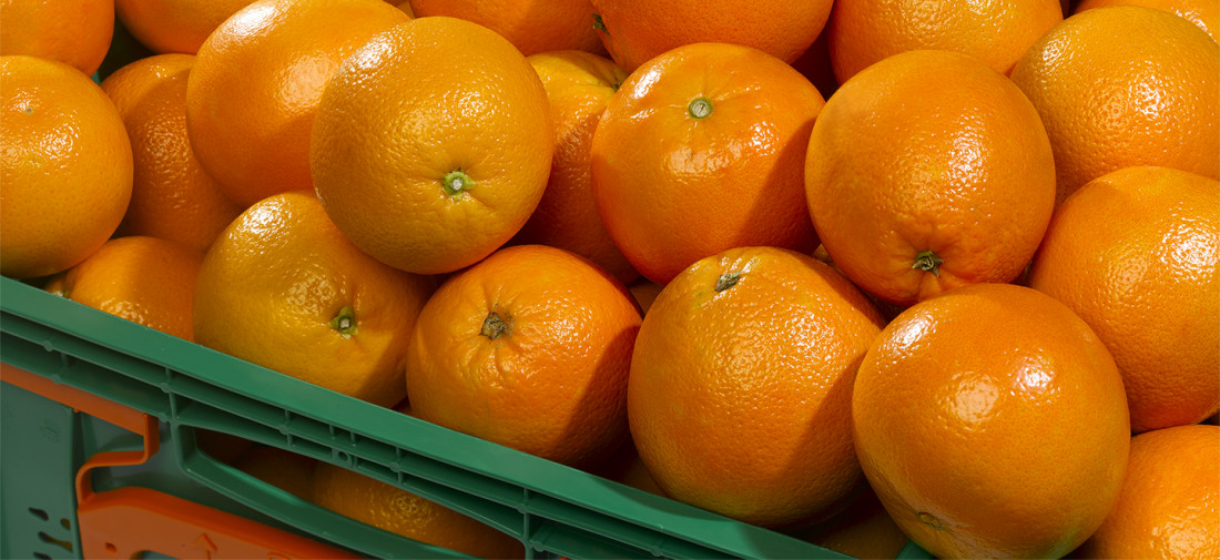 Sí pasa naranja: por primera vez en ocho años, se exportaron esos cítricos a Brasil