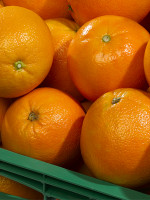 Sí pasa naranja: por primera vez en ocho años, se exportaron esos cítricos a Brasil