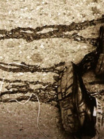 Las conexiones del narcotráfico entre Argentina y México