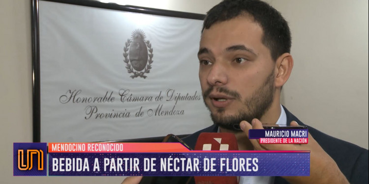 Invención mendocina: creó un vino de néctar de flores