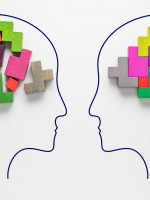 Memoria y cerebro: romper con el sesgo de género como elemento diferenciador en las ciencias