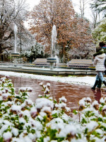 La nieve en fotos