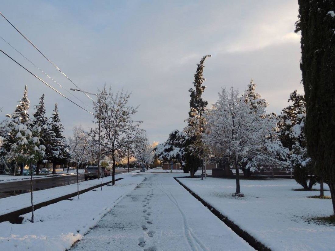 La nieve podría llegar al llano en Mendoza