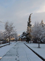 La nieve podría llegar al llano en Mendoza