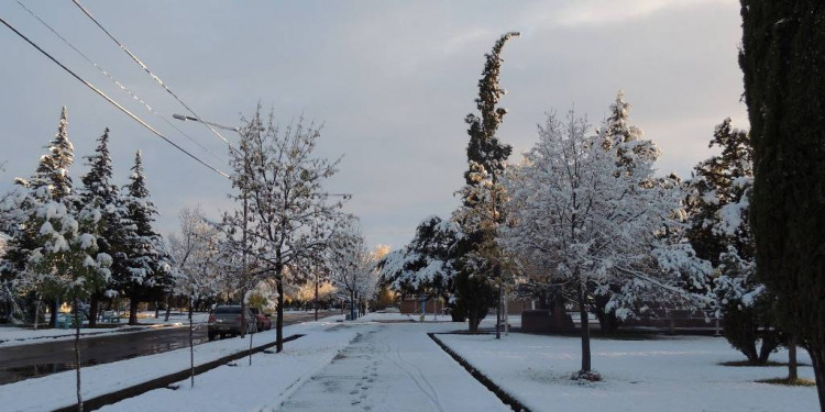 La nieve podría llegar al llano en Mendoza