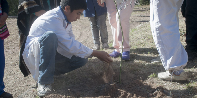 "El cuidado de la Tierra depende más del individuo que del control estatal"