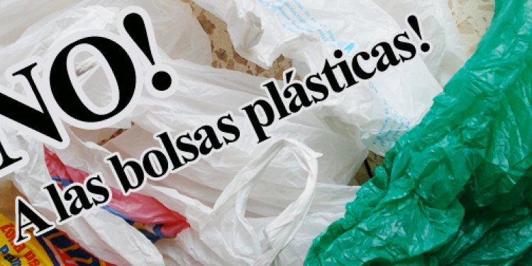 Impulsan la eliminación de bolsas plásticas