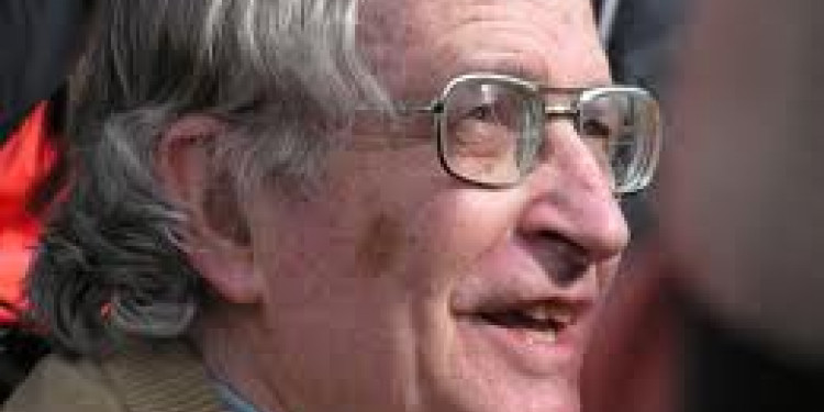 "Una campaña terrorista que genera terroristas en potencia" dice Noam Chomsky