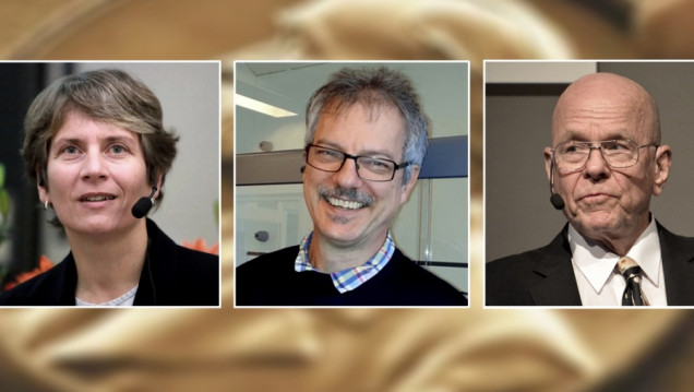 imagen "Química clic" y "química bioortogonal", dos hallazgos científicos ganadores del Nobel de Química