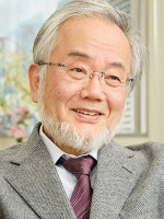 Un japonés obtuvo el Premio Nobel de Medicina 2016