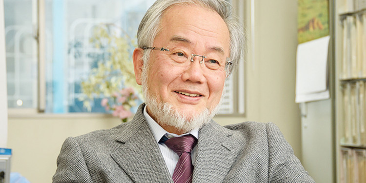 Un japonés obtuvo el Premio Nobel de Medicina 2016