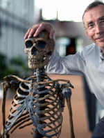 El sueco Svante Pääbo ganó el Nobel de Medicina 2022 por secuenciar el ADN del hombre de Neandertal