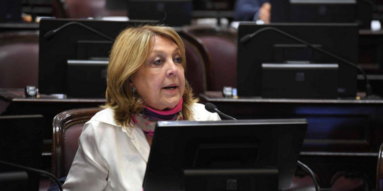 Se constituyó la Bicameral que designará al Defensor del Niño