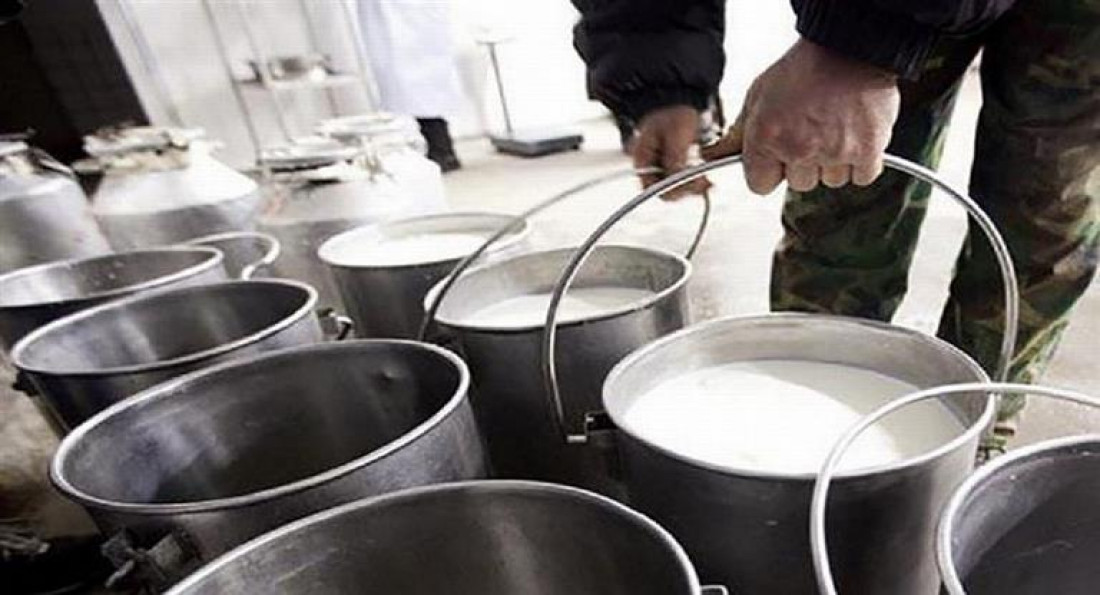 Tamberos regalarán leche en Plaza de Mayo