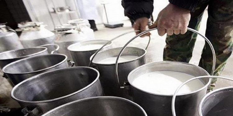 Tamberos regalarán leche en Plaza de Mayo