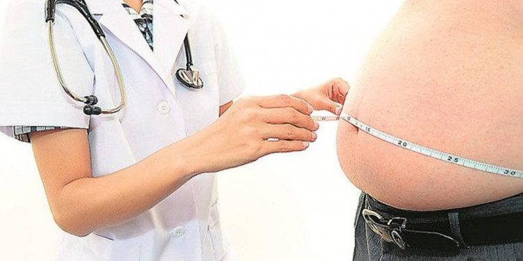 Obesidad: la madre de todos los factores de riesgo cardiovascular