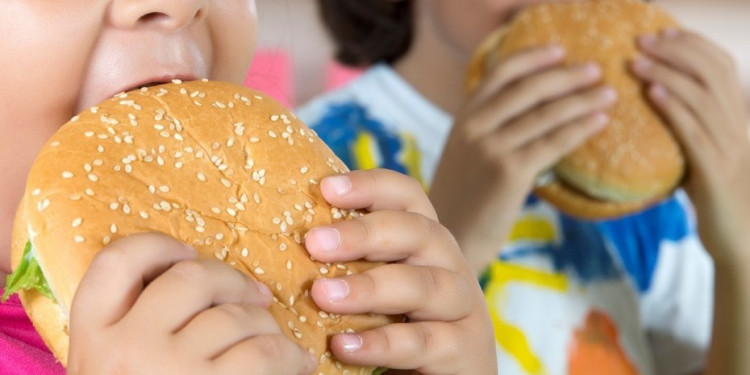 Crecen los índices de obesidad en el país