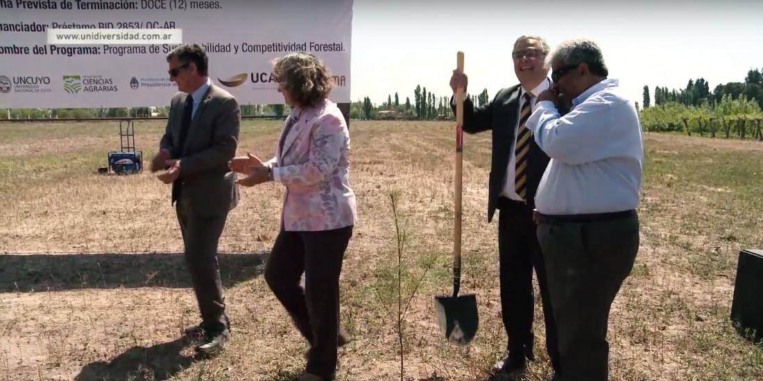 Obras Parque Tecnológico de la Madera