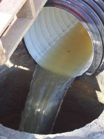 Recuperan nutrientes de aguas contaminadas de la industria