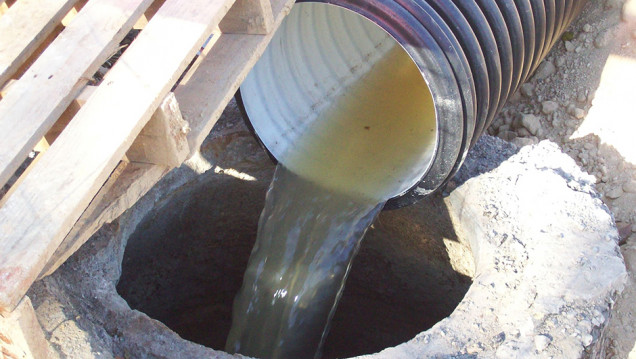 imagen Recuperan nutrientes de aguas contaminadas de la industria