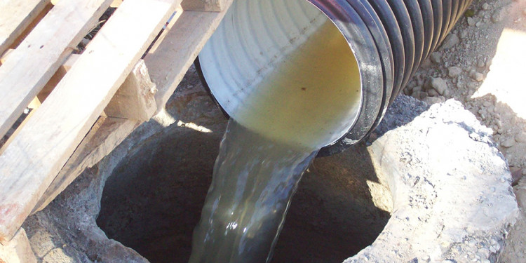 Recuperan nutrientes de aguas contaminadas de la industria