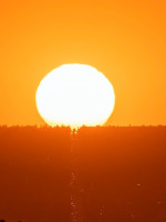 Alerta amarilla por temperaturas extremas: cómo prevenir un golpe de calor
