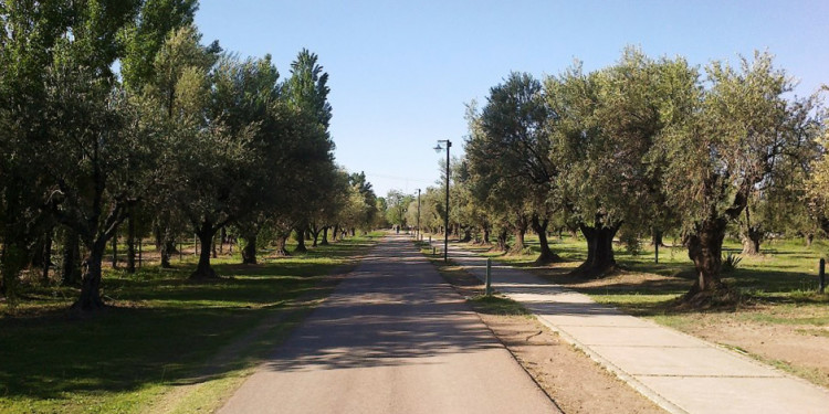 Las "cirugías" en el rostro de la Mendoza Siglo 21