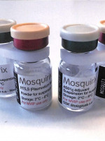 Por primera vez en la historia, la OMS recomendó una vacuna contra la malaria