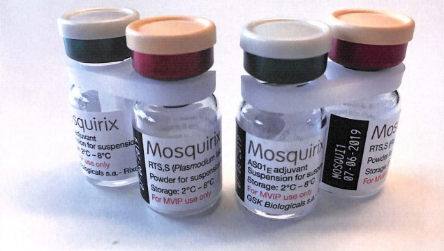 imagen Por primera vez en la historia, la OMS recomendó una vacuna contra la malaria